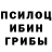 Галлюциногенные грибы Psilocybine cubensis Bobik's Animations